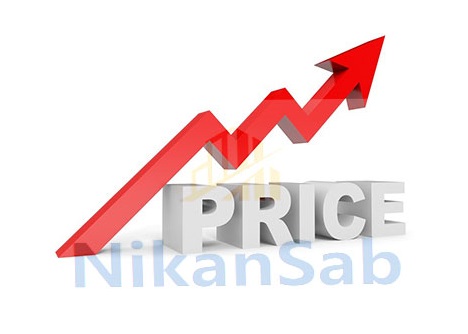 قیمت کفسابی ایتالیایی-nikansab